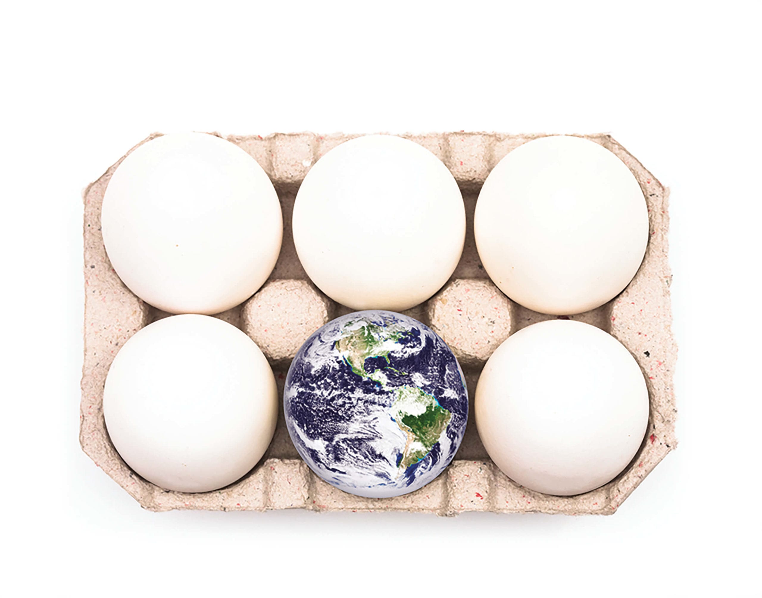 Earth inside an egg carton