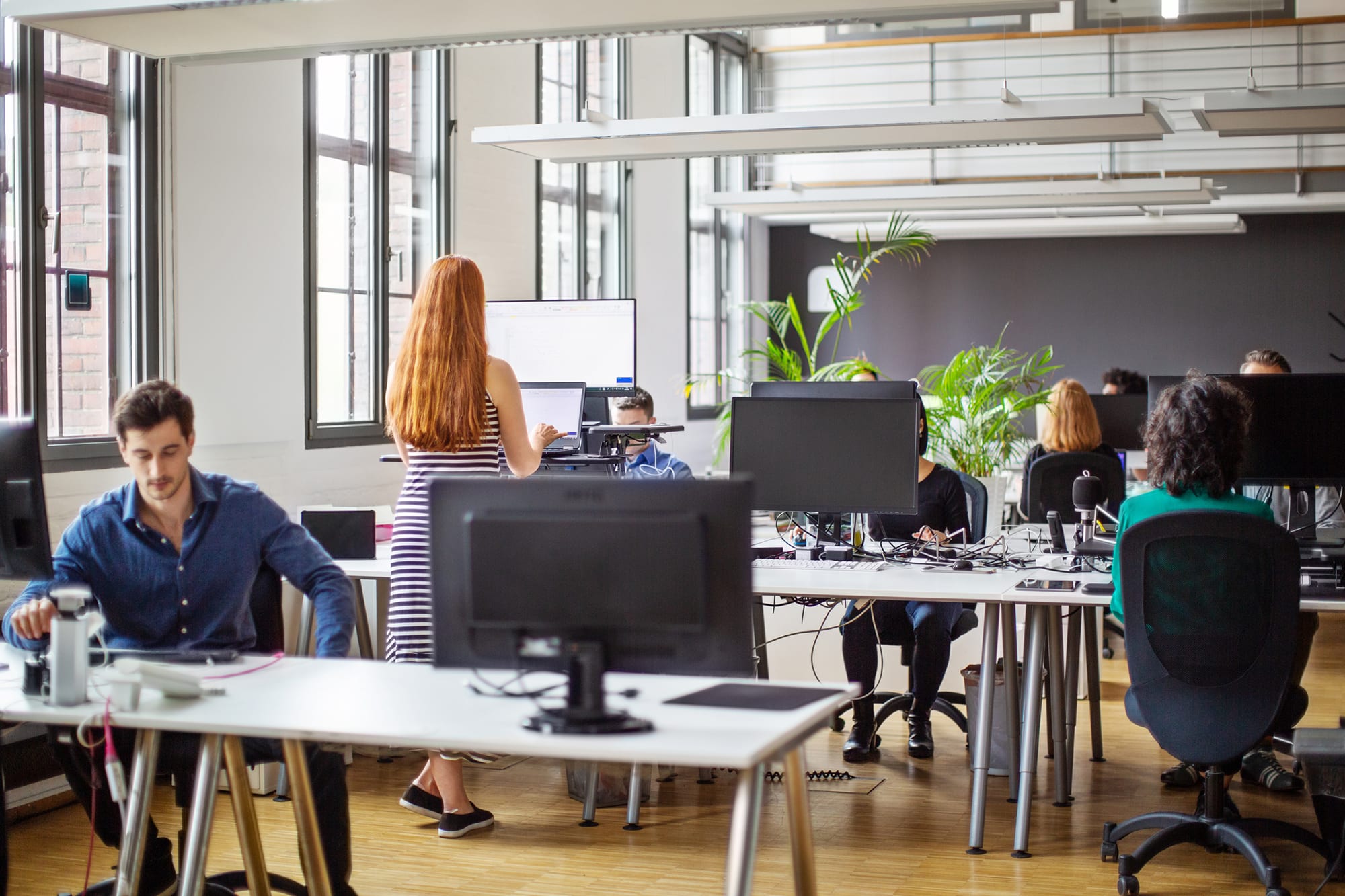 Focus rooms, collaboration lounges, and nature views: New book explains how  office design fads fall short | Haas News | Berkeley Haas