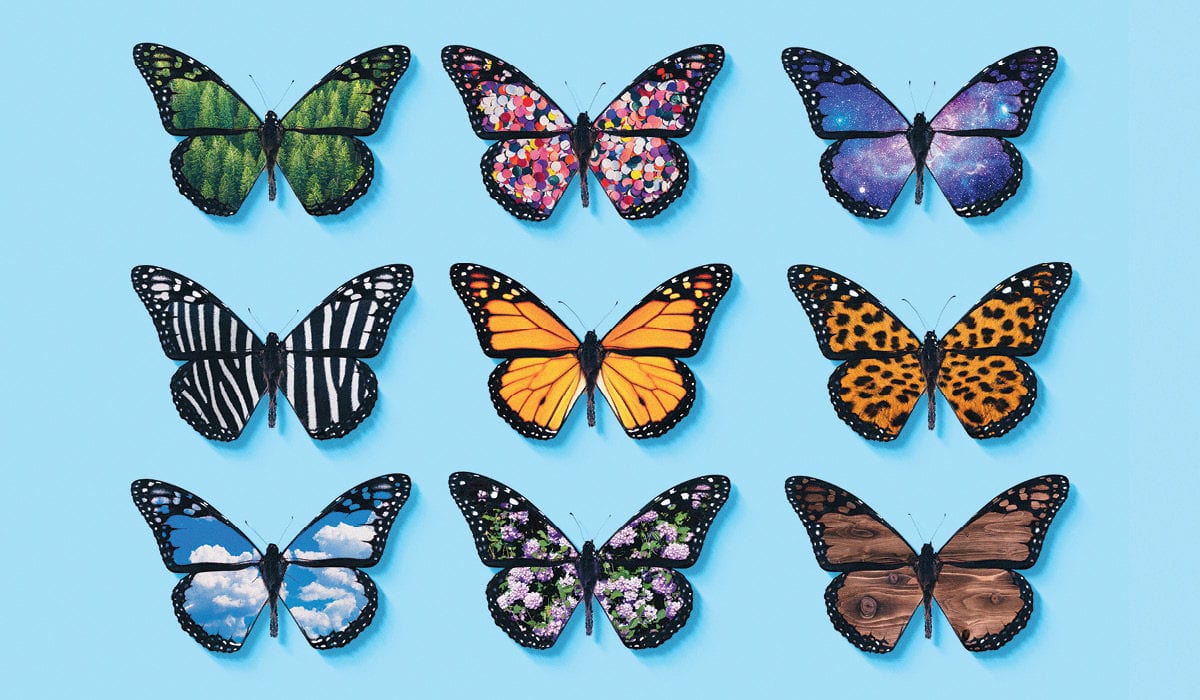 Nine butterflies with various wing designs (starting with top row): trees, colored dots, outer space, zebra stripes, monarch butterfly markings, leopard print, clouds and blue sky, flowers, and wood.