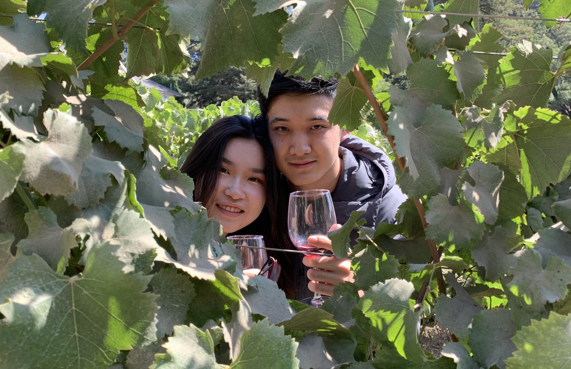 Jerry Yu and Camilla Guo, MFE 21, exploring wine country in Napa.