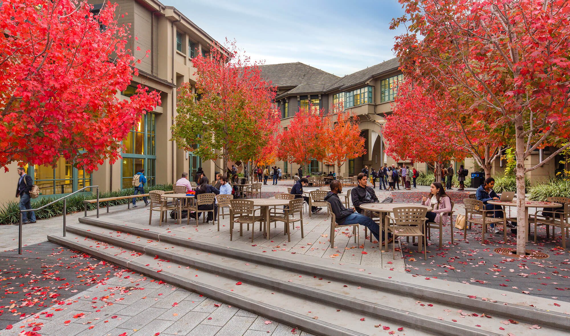 The courtyard of Berkeley Haas seen with trees in fall colors.