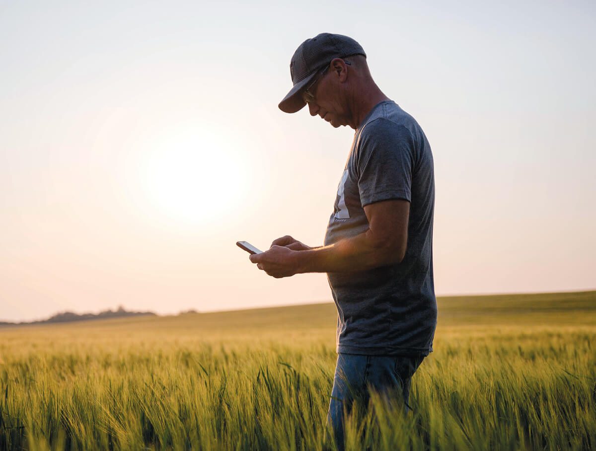 A farmer in a wheat field looking at his phone.