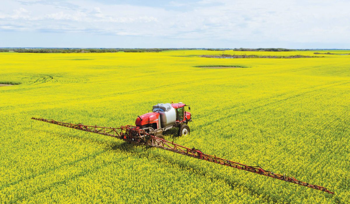 A crop sprayer navigating a large crop.