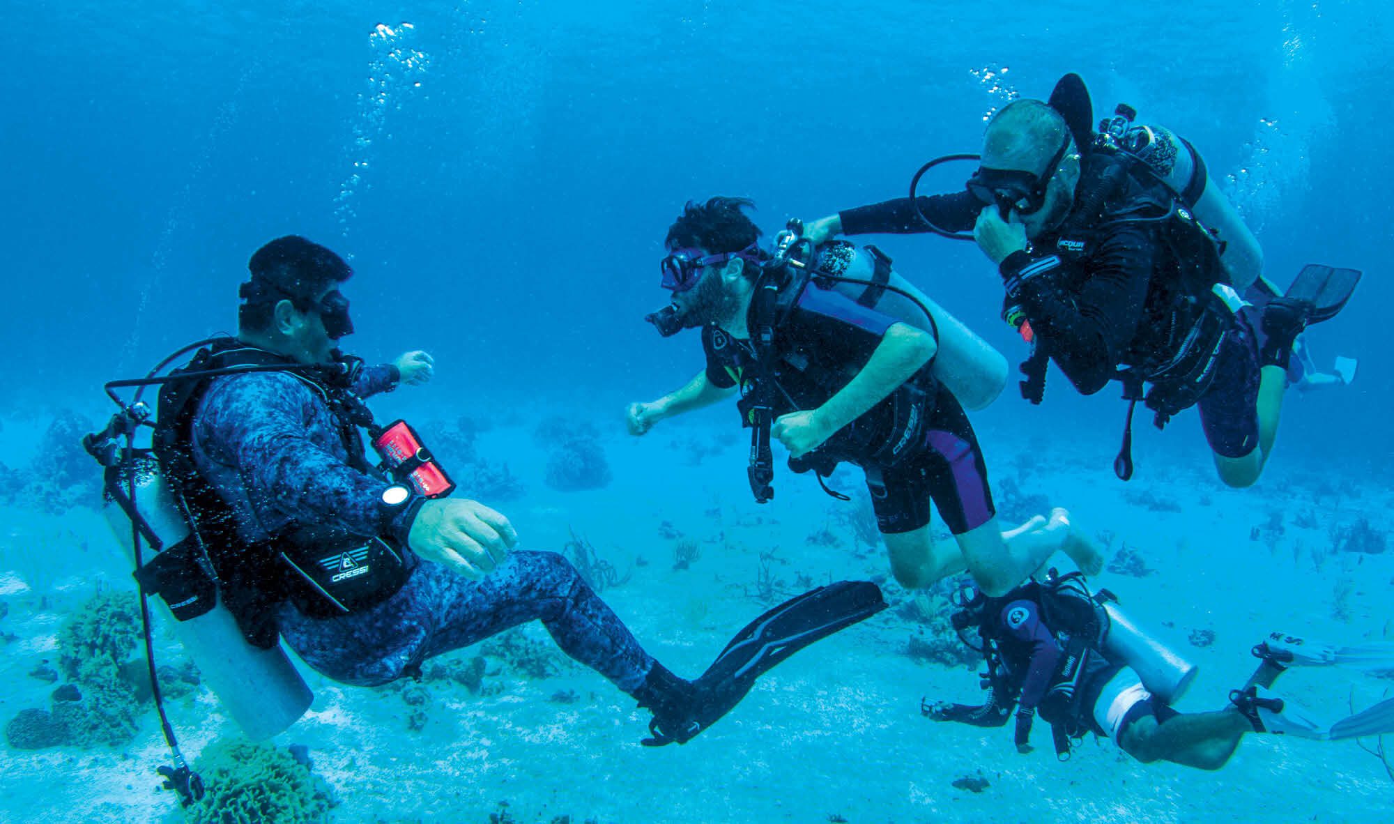 Four scuba divers underwater.