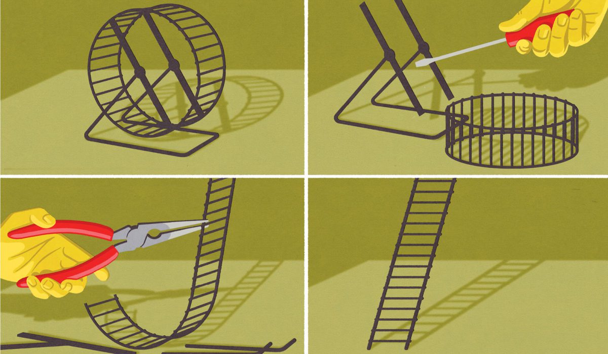 Four pictures showing a hamster wheel being transfomed into a ladder.