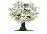 A picture of a tree made of money.