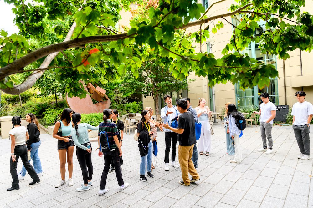undergraduate student group in the haas courtyard