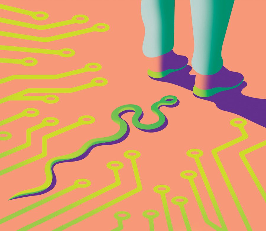 Illustration of a circuit board snake slithering toward a pair of feet.