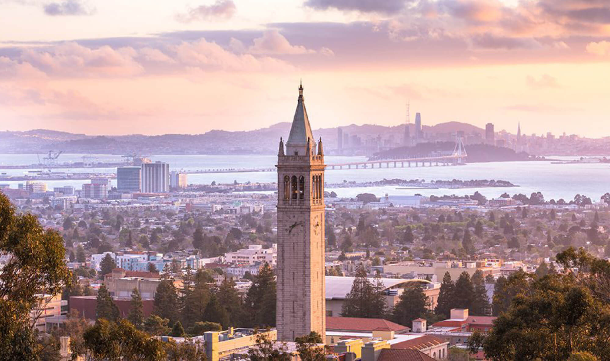 Image of campus and the Campanile with the Bay in the distance.