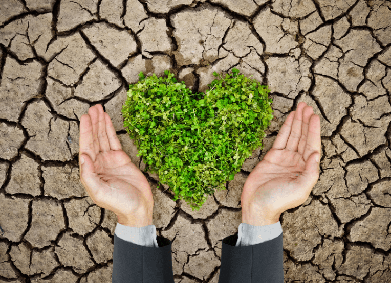 Illustration of businessman's hands around a plants growing in a heart shape against a background of parched, cracked earth.